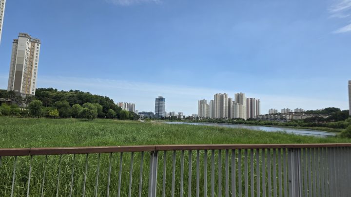 20260606-호수공원-003.jpg