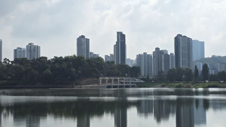 20260924-호수공원-004.jpg"